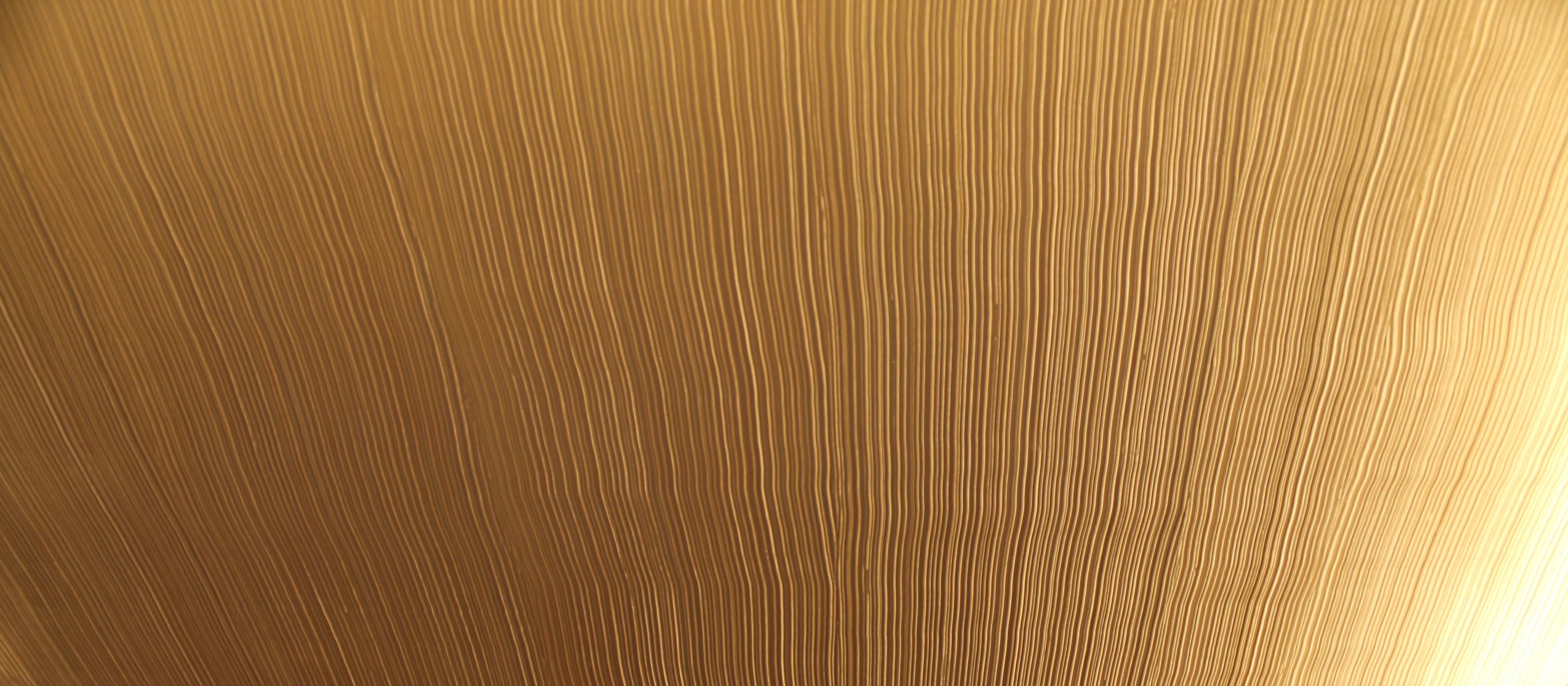 Luxus-Oberfläche — Exklusives Panel